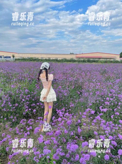 Xiuren秀人网 - 在线观赏唐雨辰TYC的职业装写真，展现职场女神的自信与优雅.txt