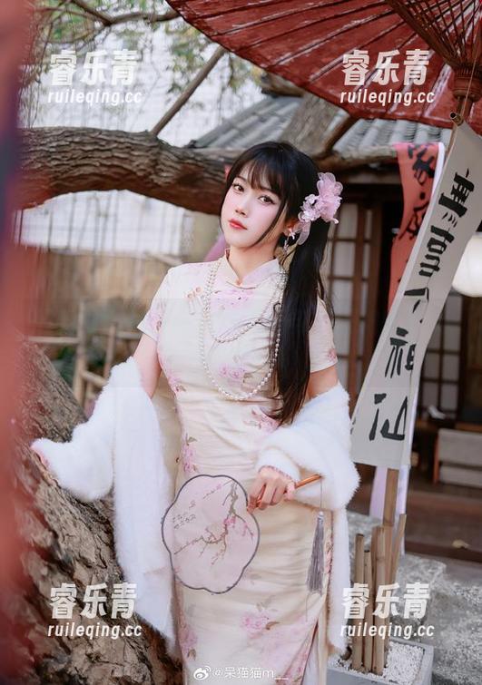 不呆猫 最新写真集发布!不呆猫与战国袍的梦幻碰撞.txt