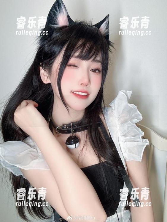不呆猫粉色系列：释放你的灵感，畅享图库资源魅力.txt