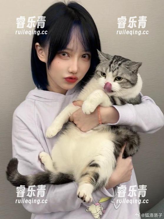 狐洛洛子倾情呈现在线慵懒白猫系列美妙图片.txt
